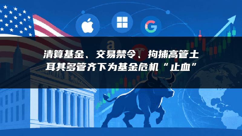 清算基金、交易禁令、拘捕高管 土耳其多管齐下为基金危机“止血”